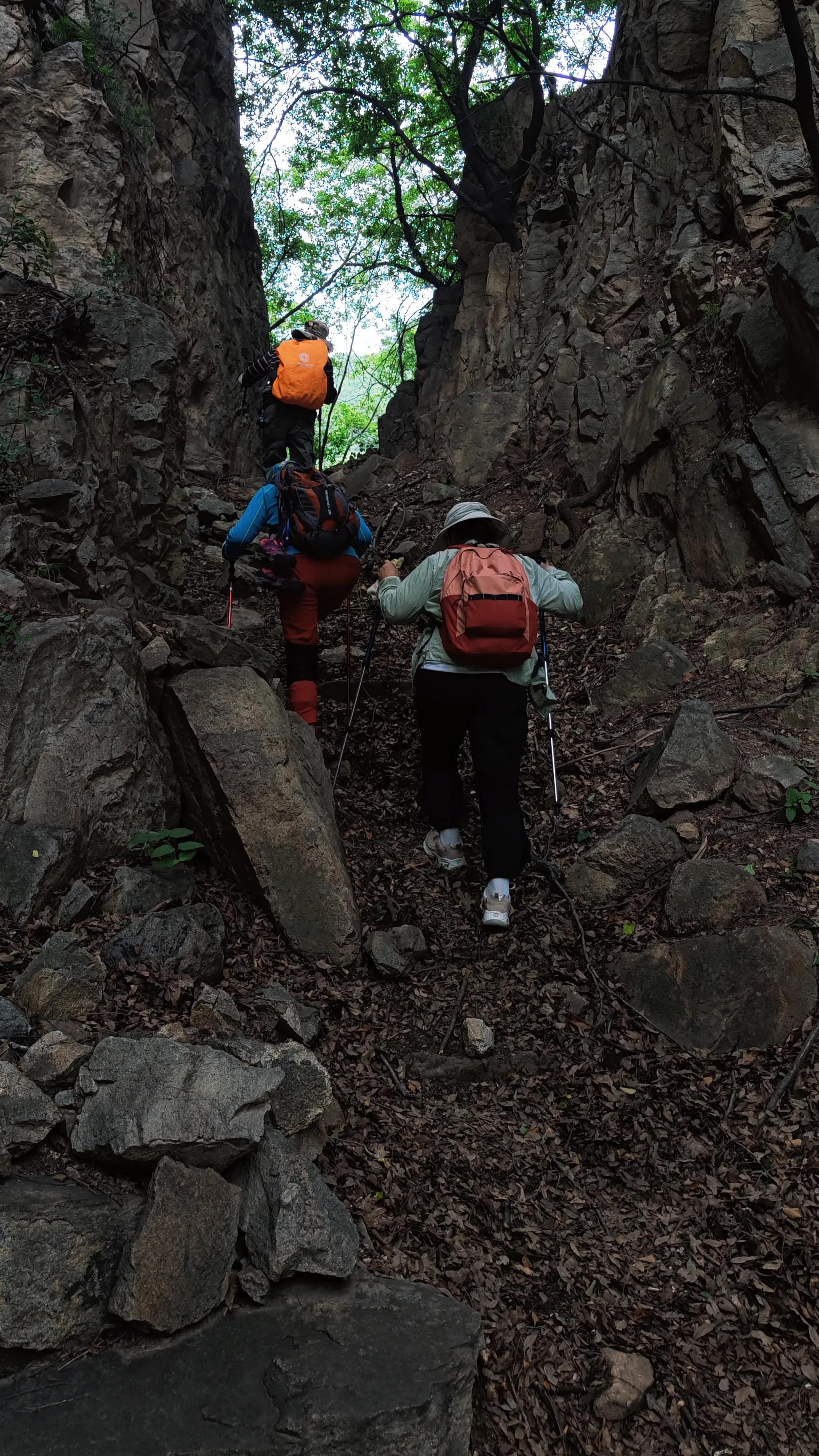 一朵花的守候——七峪沟纪行