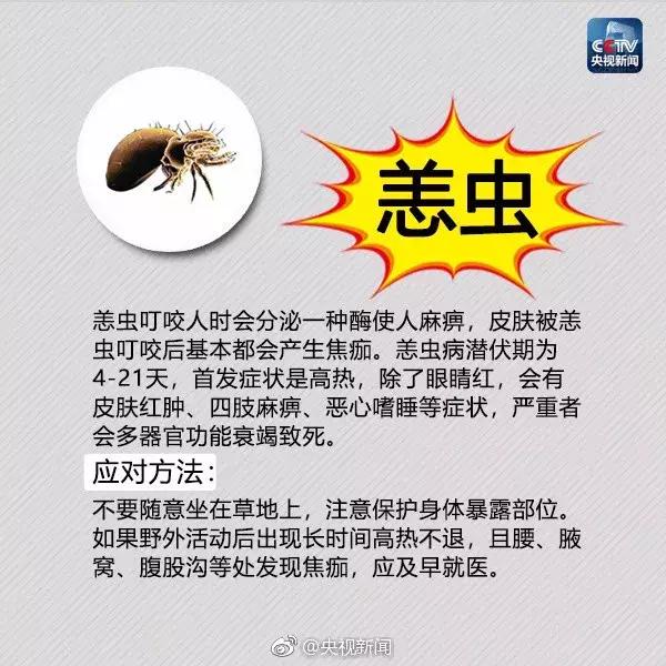 南宁邕江红火蚁,被广西红火蚁咬了怎么办