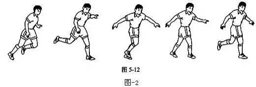 简笔体育教学挂图,体育课动作示范和挂图