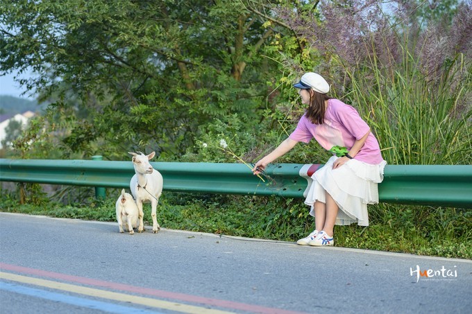 周末自驾游安徽郎溪,门票只花了30块,其它都是原生态秘境