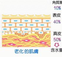 胎盘素原液是怎么样的,胎盘素抗皱原液