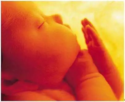 酸性碱性体质谣言,碱性有益身心健康谣言