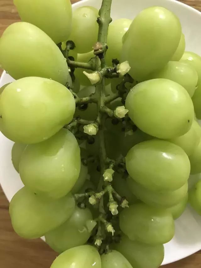 阳光玫瑰网红水果,阳光玫瑰水果视频