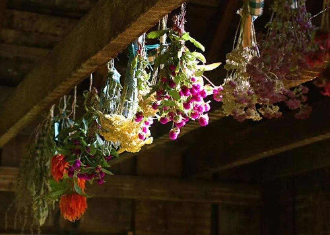 鲜花怎么保养成干花,鲜花变干花如何能保持原色