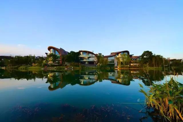 神盘麓湖生态城,麓湖生态城中国神盘