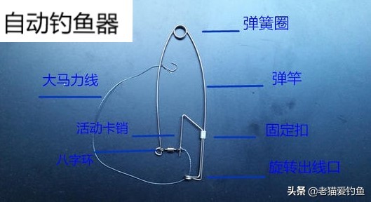 如何用自动钓鱼器来钓家里的老鼠,用老鼠钓鱼的技巧