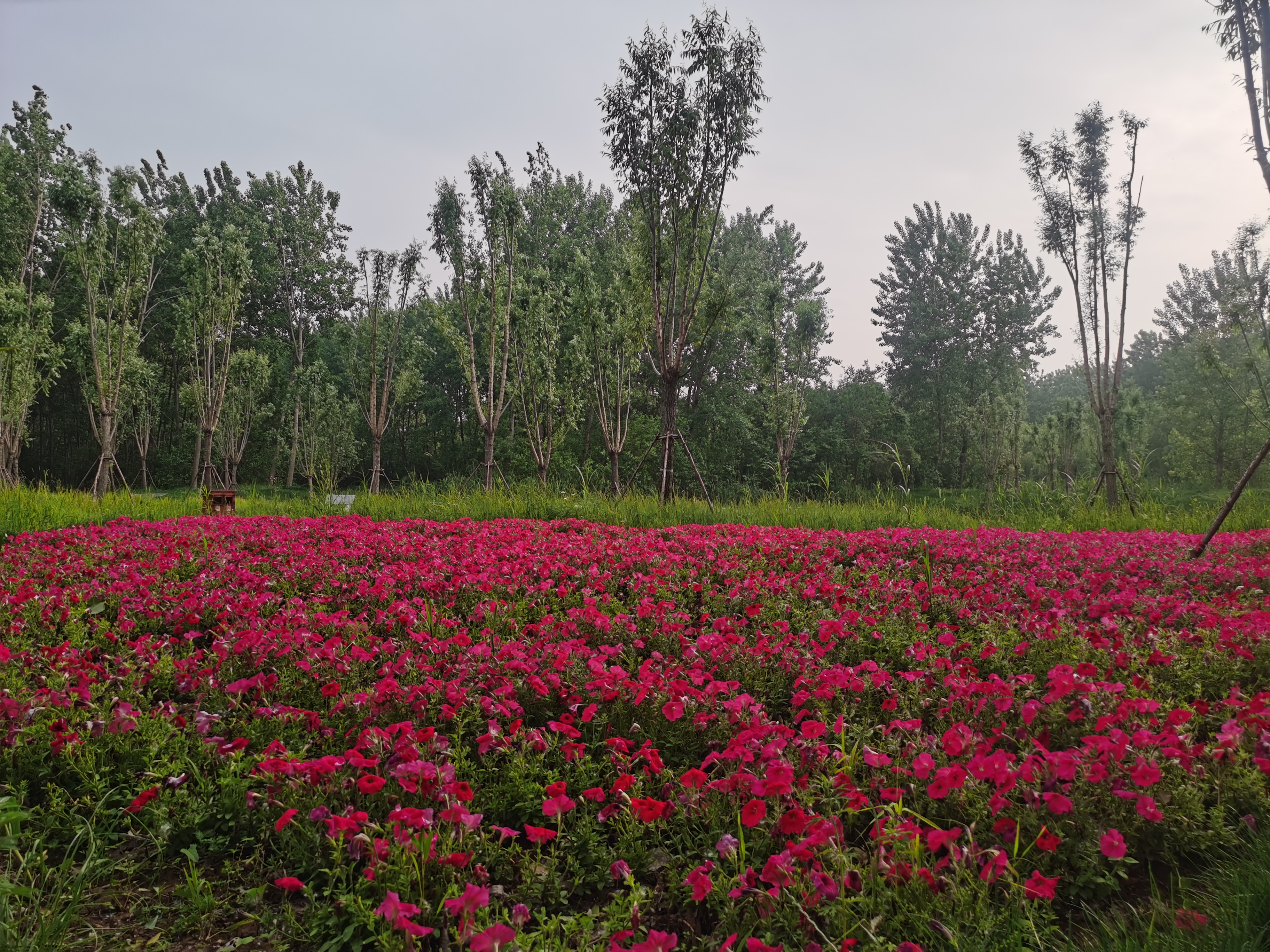 马鞍山风景名胜区,生态画卷美不胜收