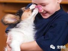 狗狗嗅陌生人的腿,狗狗为何喜欢嗅主人的尿