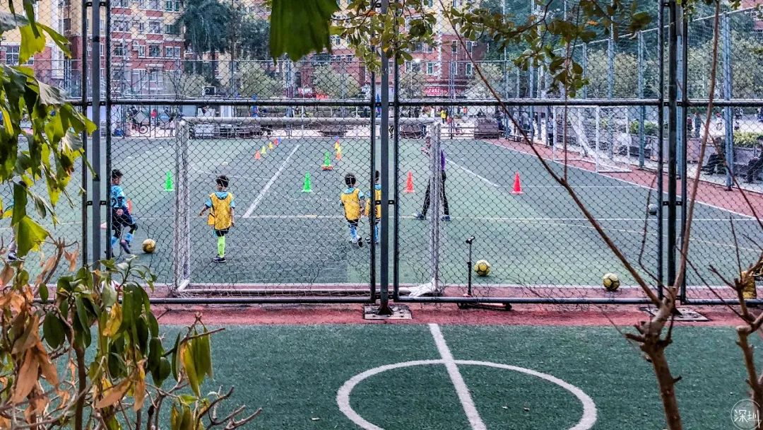 上下沙现状,上下沙来历