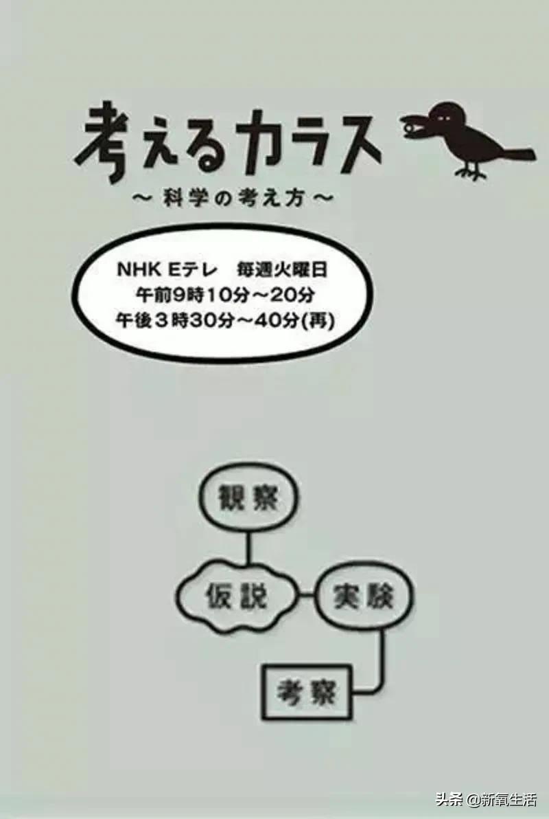 豆瓣评分9.0以上的剧集,豆瓣评分9.5以上的电影值得一看