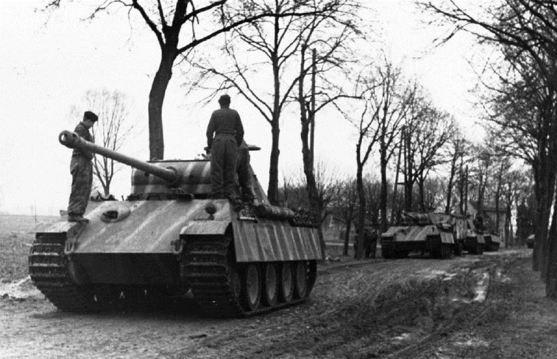 二战海因里希什么水平,柏林战役海因里希