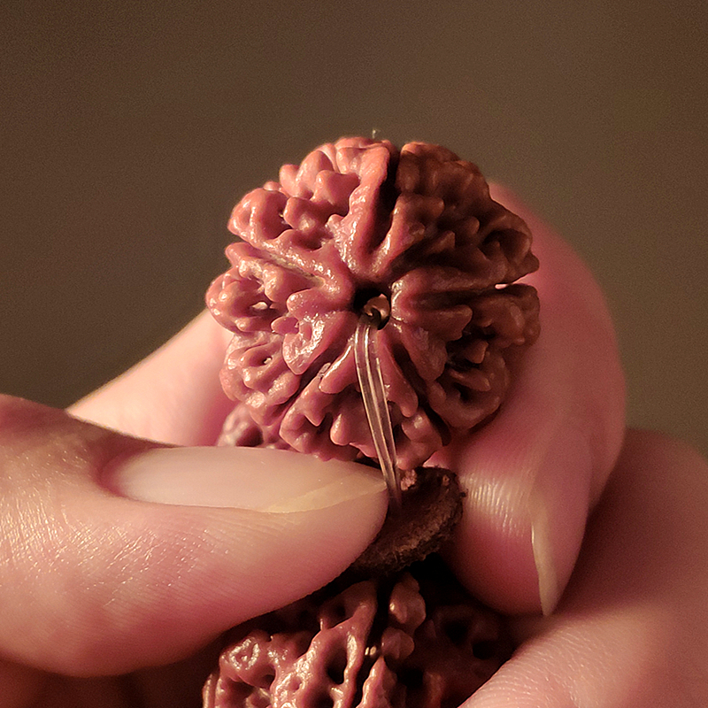 花了一两千，盘了三四年，最后却只能扔进垃圾桶，网友：叫你不信