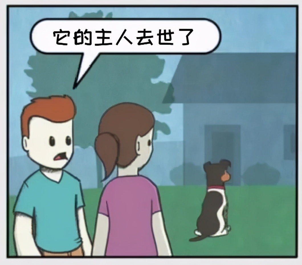 猫和铲屎官漫画全集,铲屎官和狗子的漫画