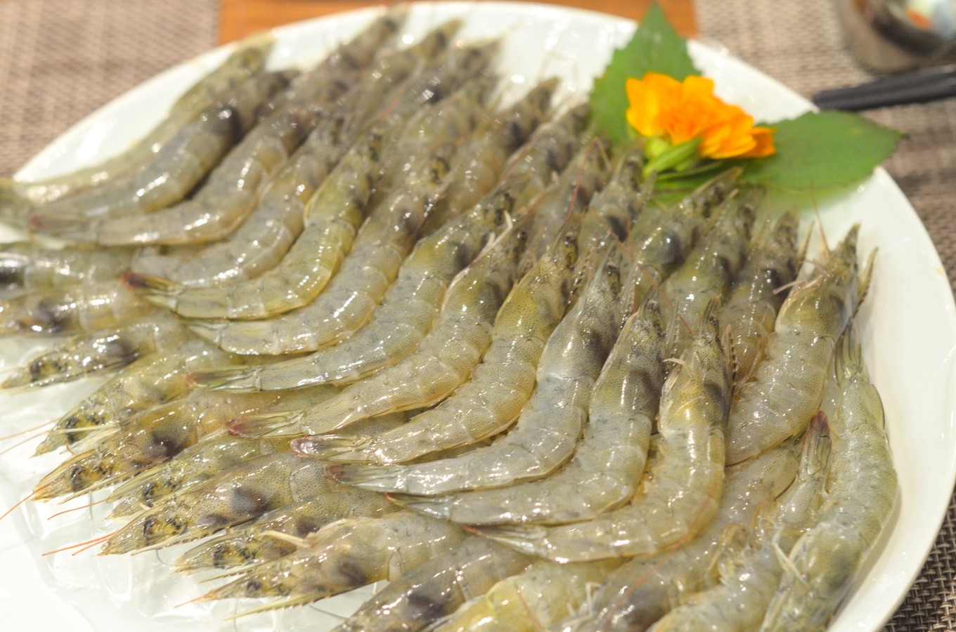 一座白楼，青山环绕，云卷雾舒～享受在莫干山野的娴静自由