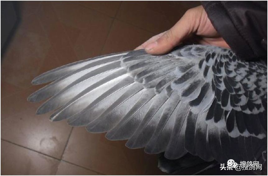 出塞赏析,出塞的讲解视频