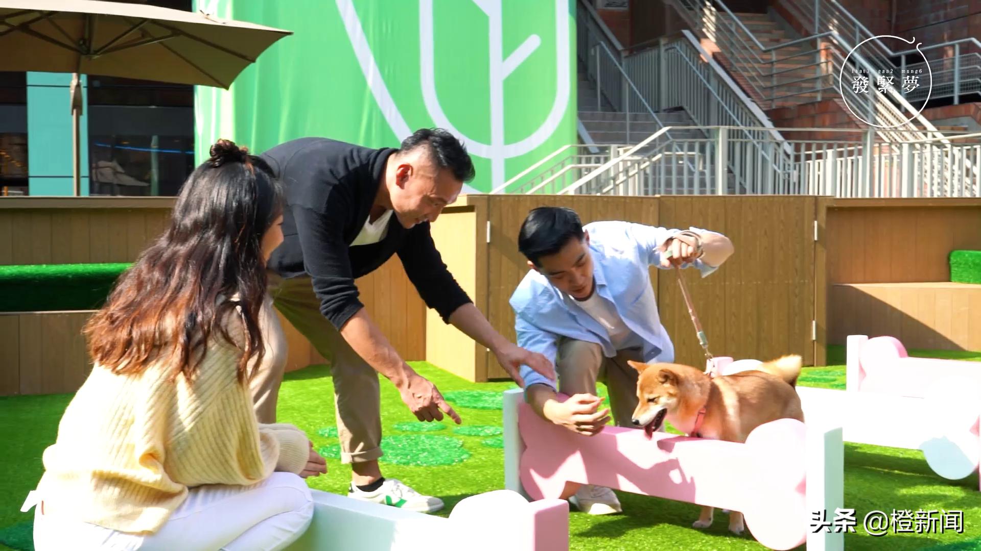 宠物狗带公园里遛需要注意什么,宠物公园开园仪式