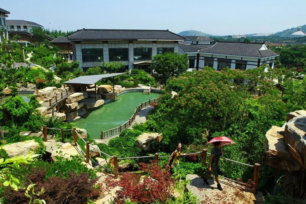 冬游齐鲁乐享,冬游齐鲁好客惠民季