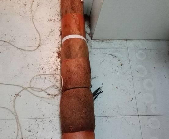 绿萝怎么样做才能好看呢,绿萝如何造型比较好看