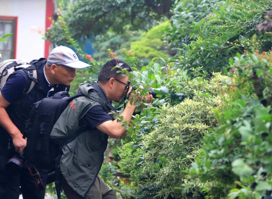 中国沭阳国际花木城在哪个城市,沭阳花木城的发展