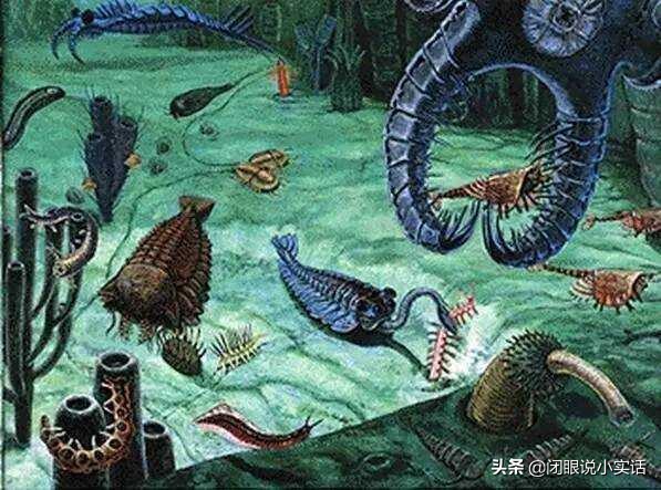 史前活化石鹦鹉螺,世界十大活化石鹦鹉螺