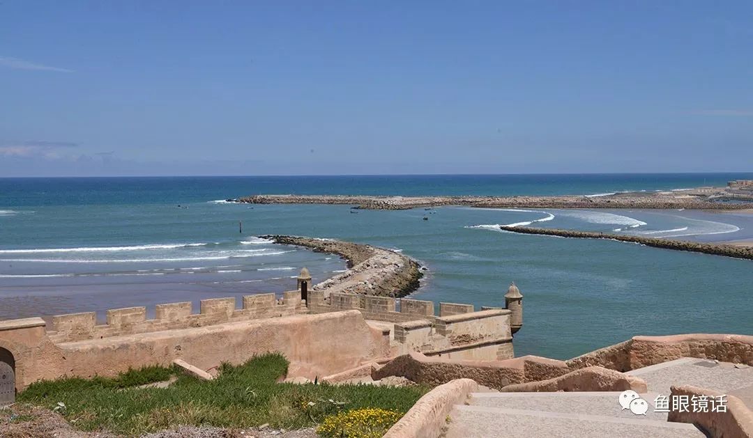 仔细看一看：包容的力量到底有多大？