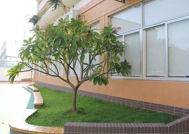 深圳百仕达一年级报名,2024年深圳百仕达小学入学条件