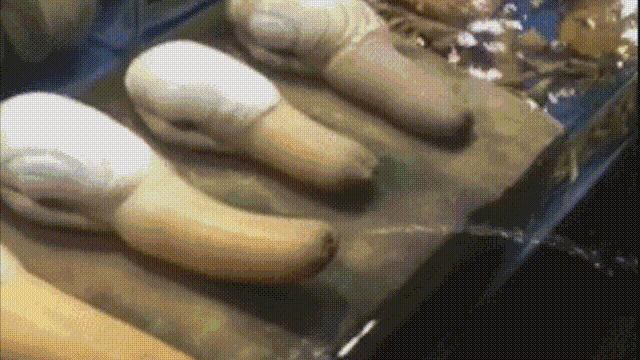 蛏子与小人蚬的区别,贻贝蛤蜊有什么区别