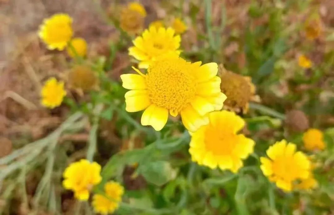 说说你开直播一个月的心得和收获,聊聊开直播的经历