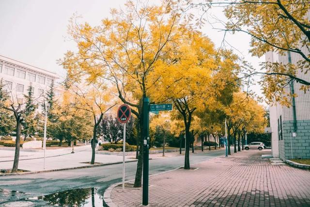 突然就想去旅游了,忽然间就想去厦门了