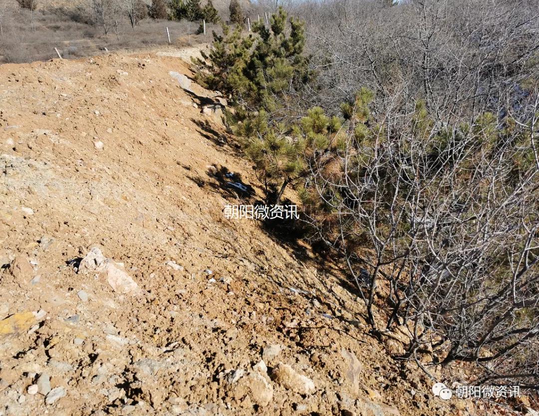 朝阳轮胎工厂生产视频,朝阳工厂轮胎
