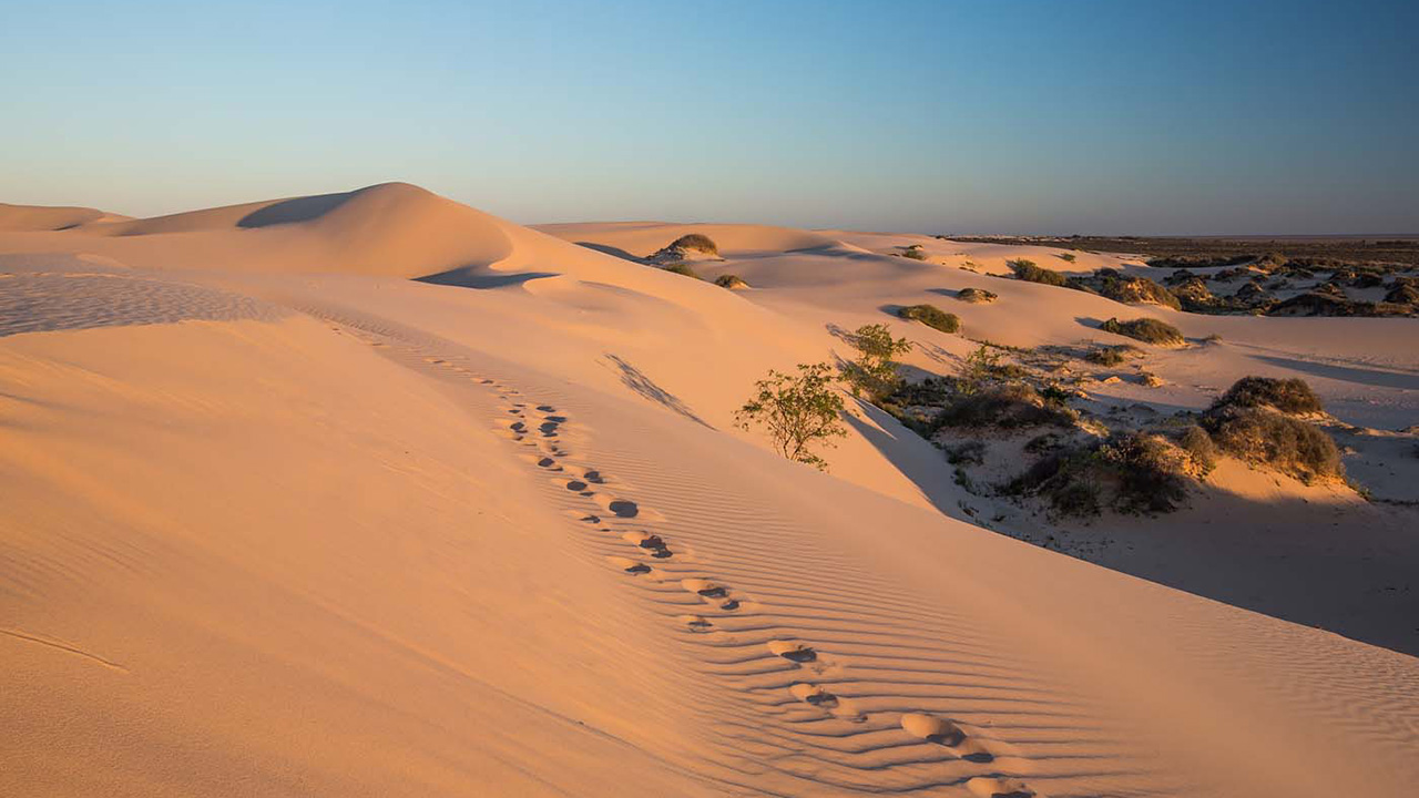 沙漠迷路解决方法,沙漠里迷路了应该怎么走出去