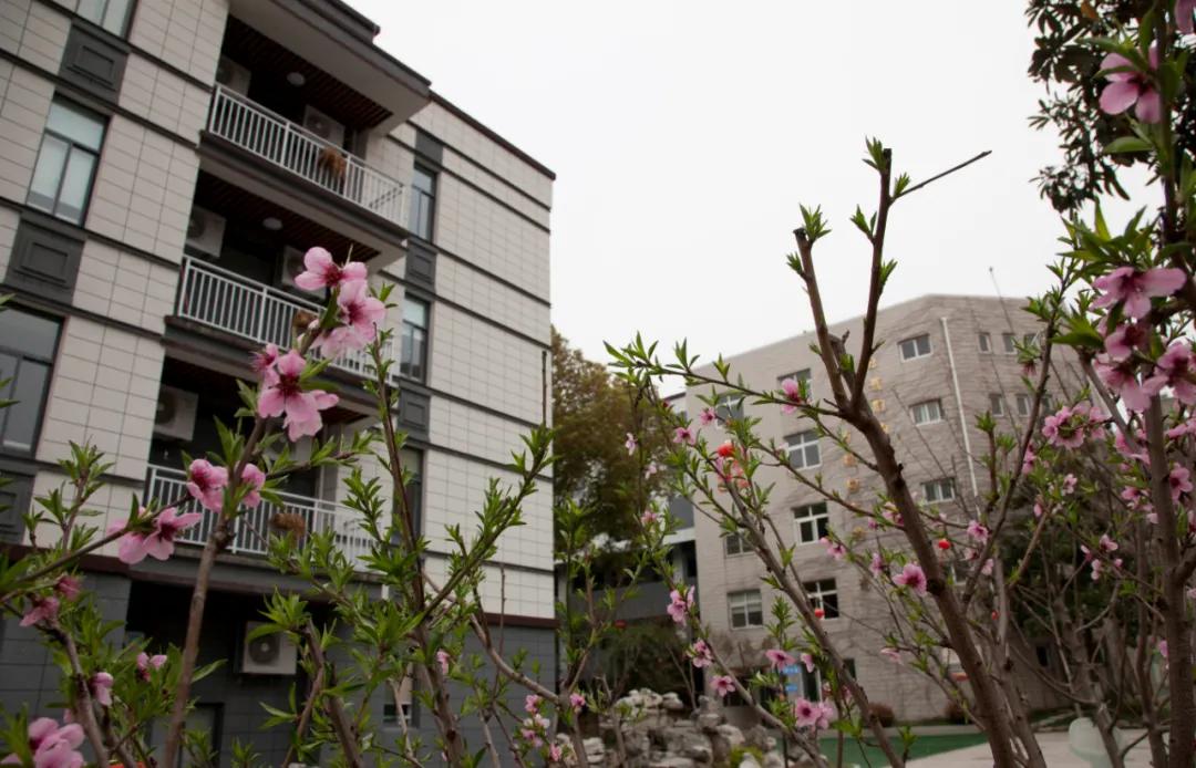 名校力量|这所游小联盟校有两把“宝剑”！未来可期