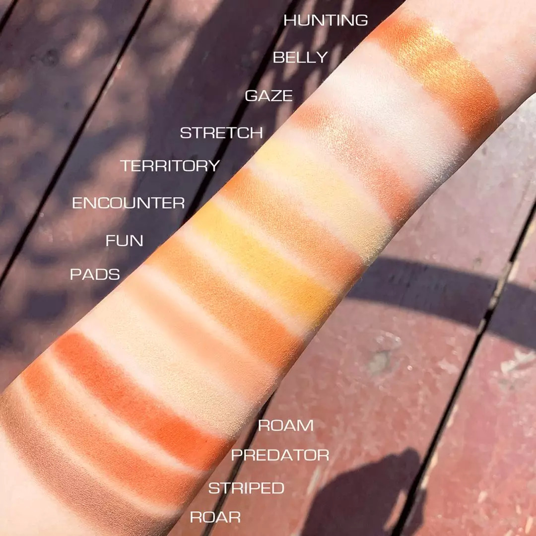 不超过100块钱的平价眼影盘推荐,不用代购的便宜好物