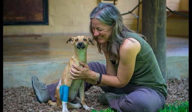 狗狗后腿突然骨折,狗狗脊椎骨骨折为什么会瘫痪