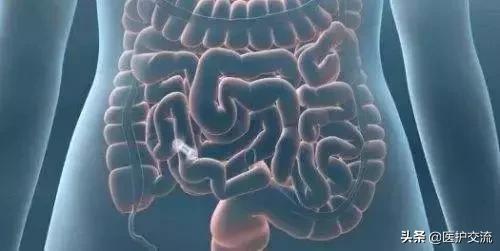 脸上同一个位置反复长硬块痘痘,痘痘在脸上的位置