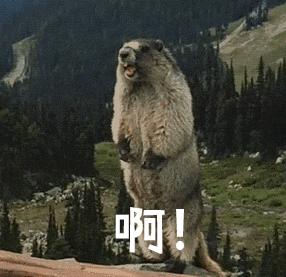 皮肤科医生都推荐的硫磺液体香皂，李佳琦5分钟卖了14406套