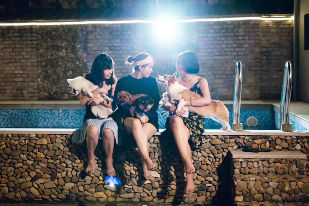 带着自己的宠物去旅行,主人带着狗狗去全世界旅行