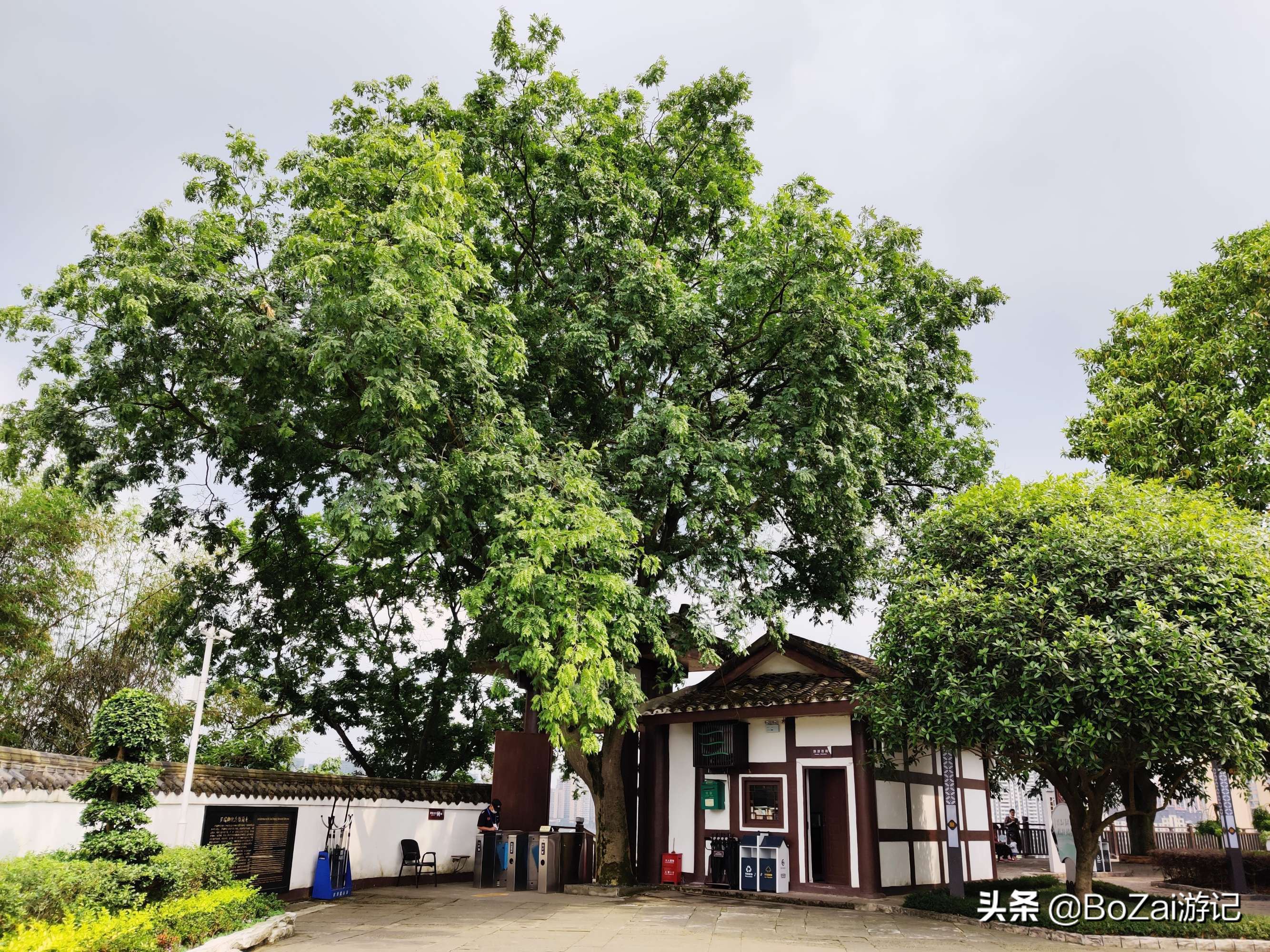 去四川南充都有哪些好耍的,南充市区最好的景点排名前十
