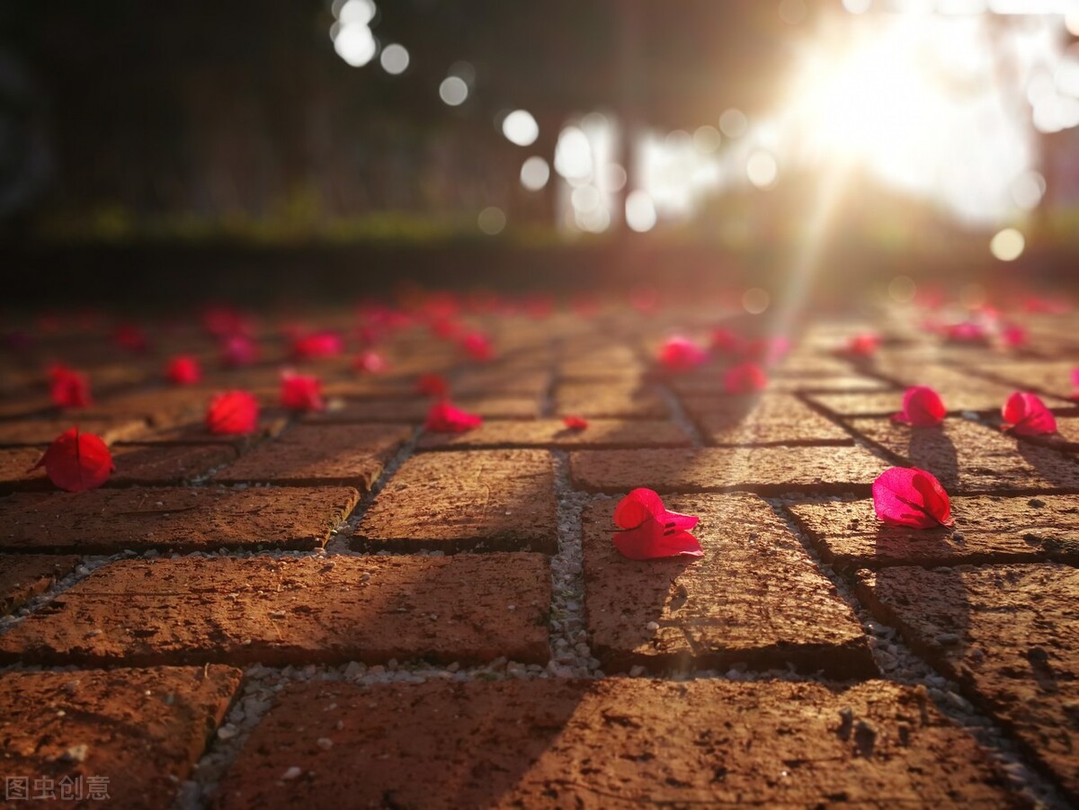 生活就是这样鸡零狗碎的琐事,收拾完鸡零狗碎的琐事