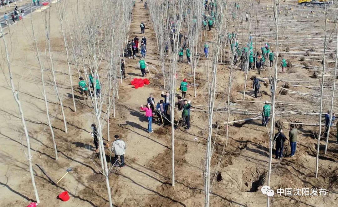 带你去美颜,明天一起去大理