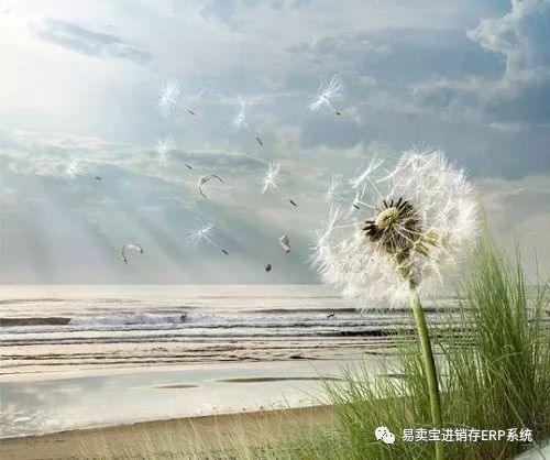 微商标题怎么写,微商软文模板