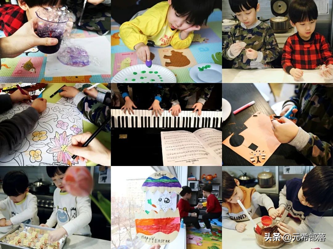 荷兰小镇郁金香盛开,荷兰小镇郁金香花海