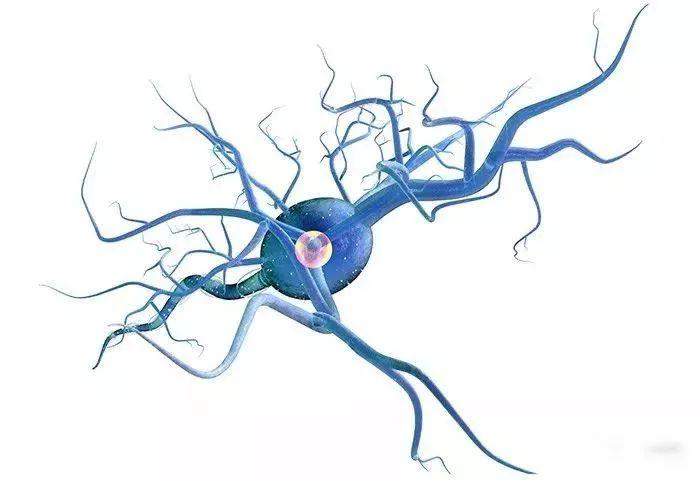 血府逐瘀丸治糖尿病周围神经病变,糖尿病周围神经病变最新治疗方法