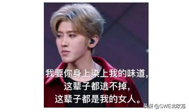 潜伏在读者群里，我默默搜集了很多小白鼠推荐......