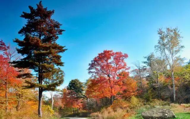 哈尔滨自驾三亚边走边玩最佳路线,哈尔滨到漠河自驾旅游攻略10天