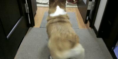 疫情中的替代性创伤,疫情替代性创伤