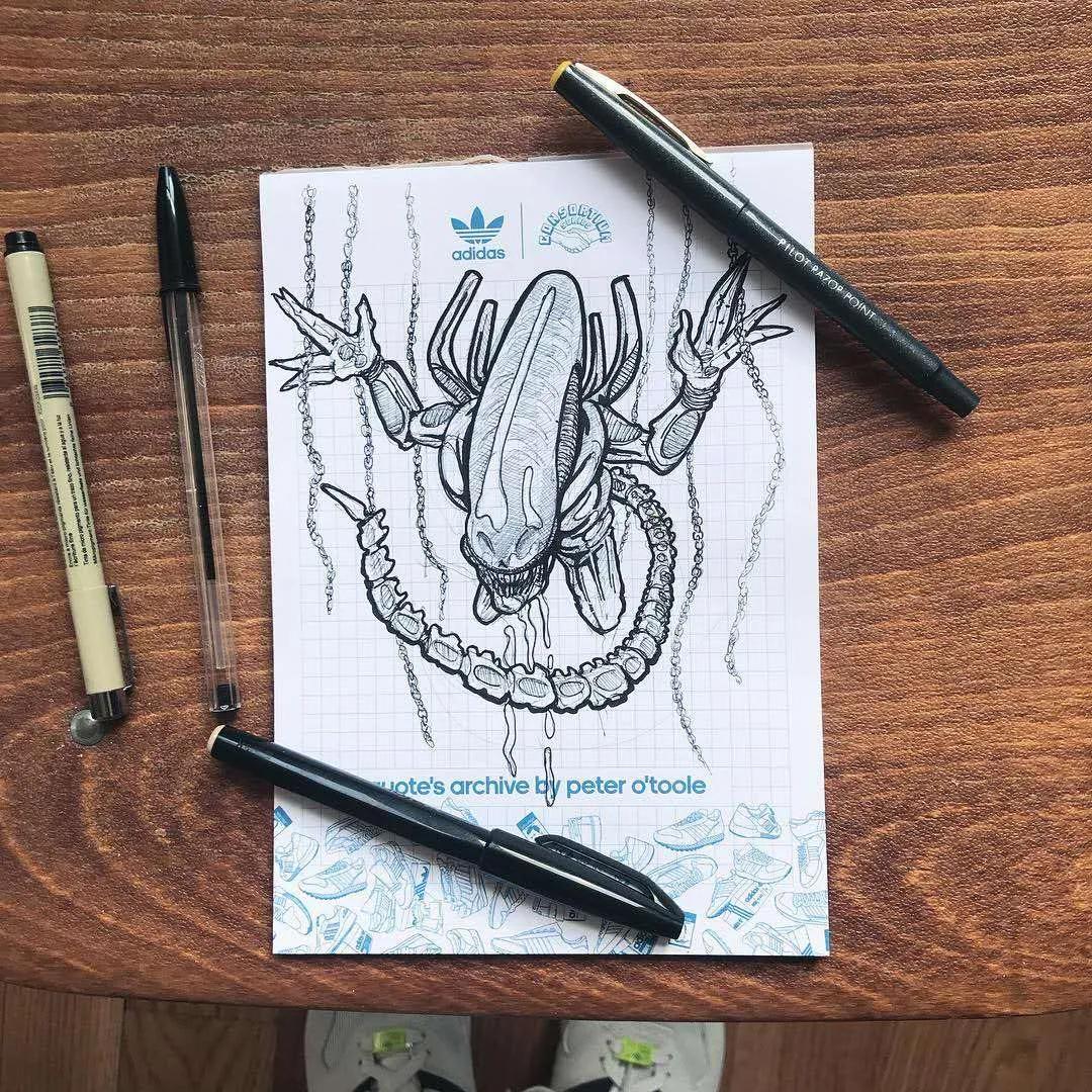 adidasrose10浅天蓝开箱,adidasdrose10黑金