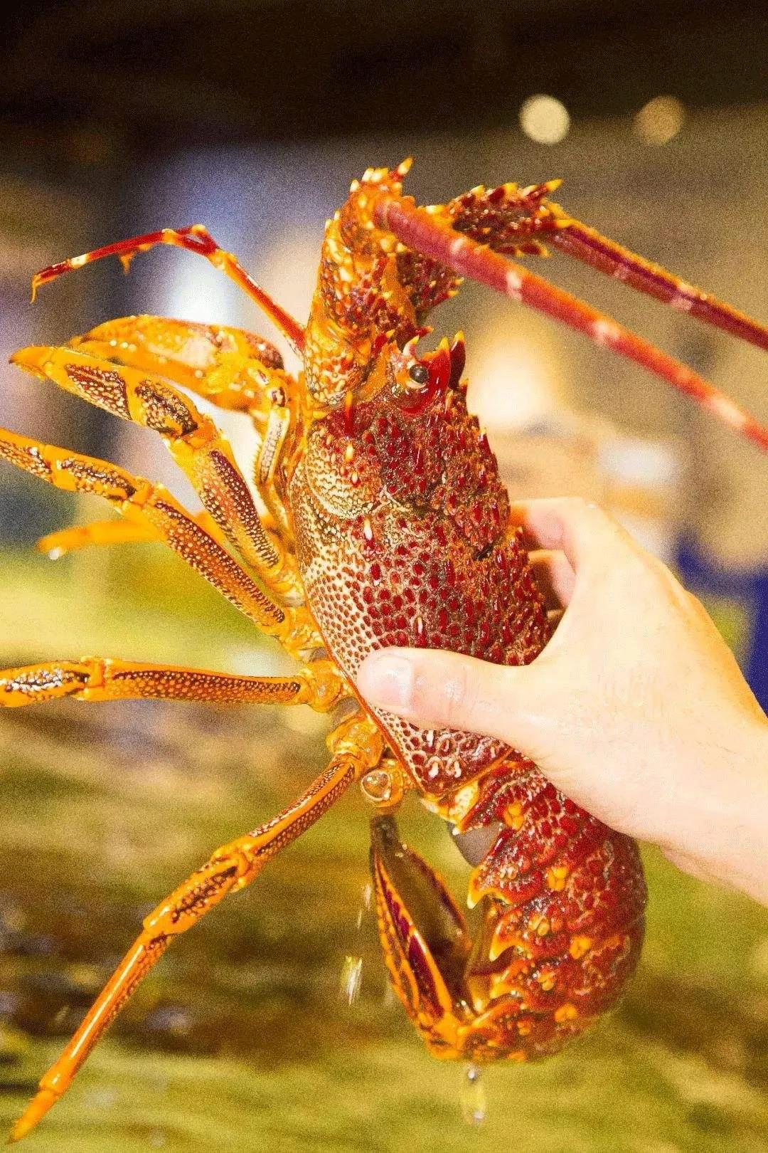 厦门10人团购优惠券,厦门消费券最新活动消息