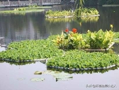 榛戣嚟姘翠綋鏀瑰杽鎺柦,榛戣嚟姘翠綋娌抽亾娌荤悊鏂规