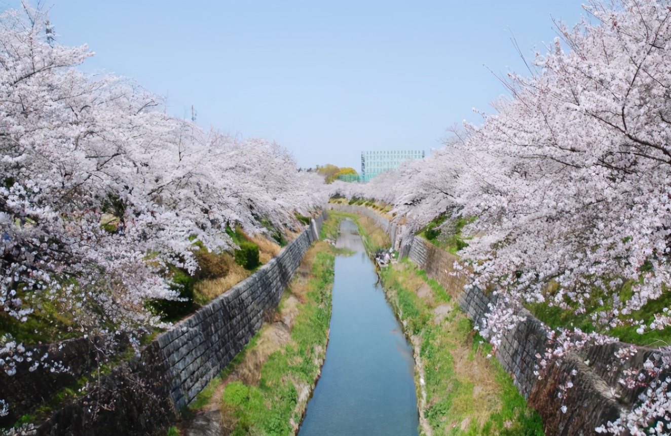 日本爱知县旅游攻略,玩转日本自由行